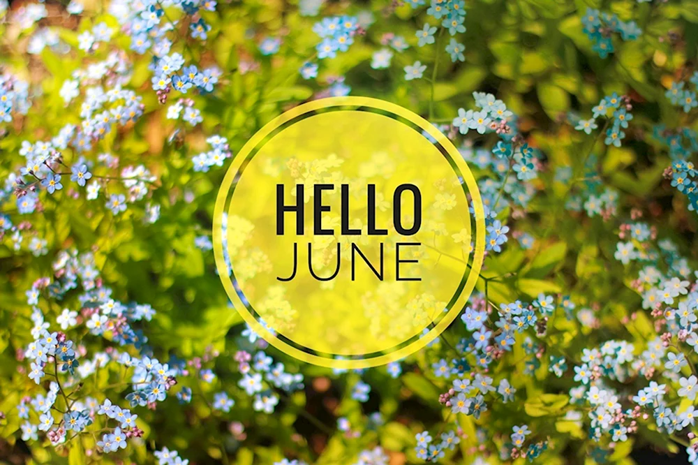 Hello June обои