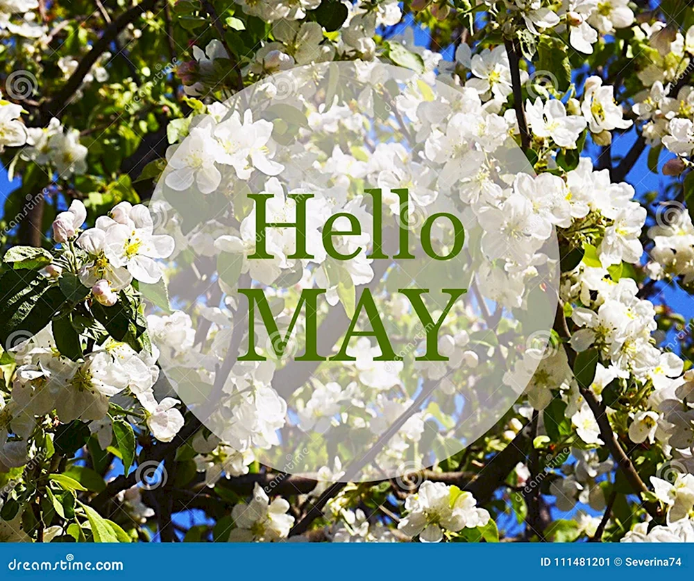 Hello May