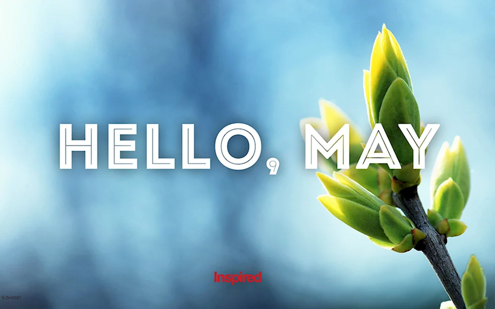 Hello May