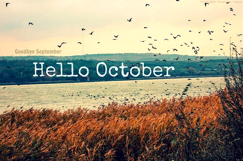 Hello октябрь