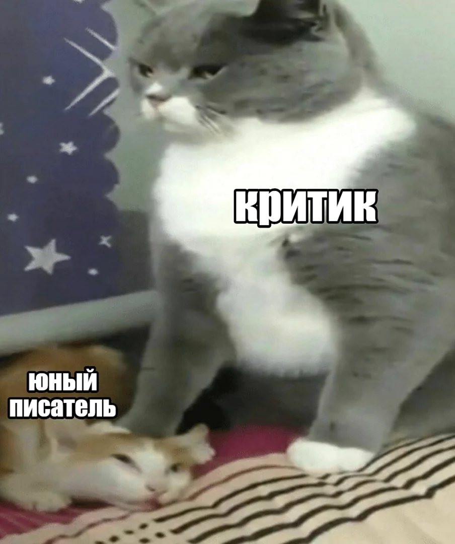 Я русский Мем с котом