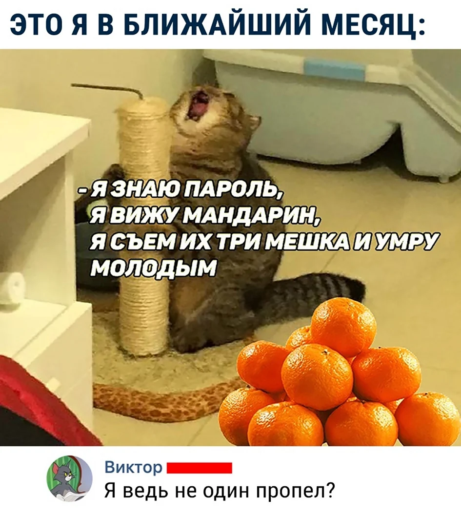 Я знаю пароль я вижу мандарин