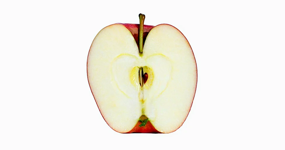 Яблоко в разрезе