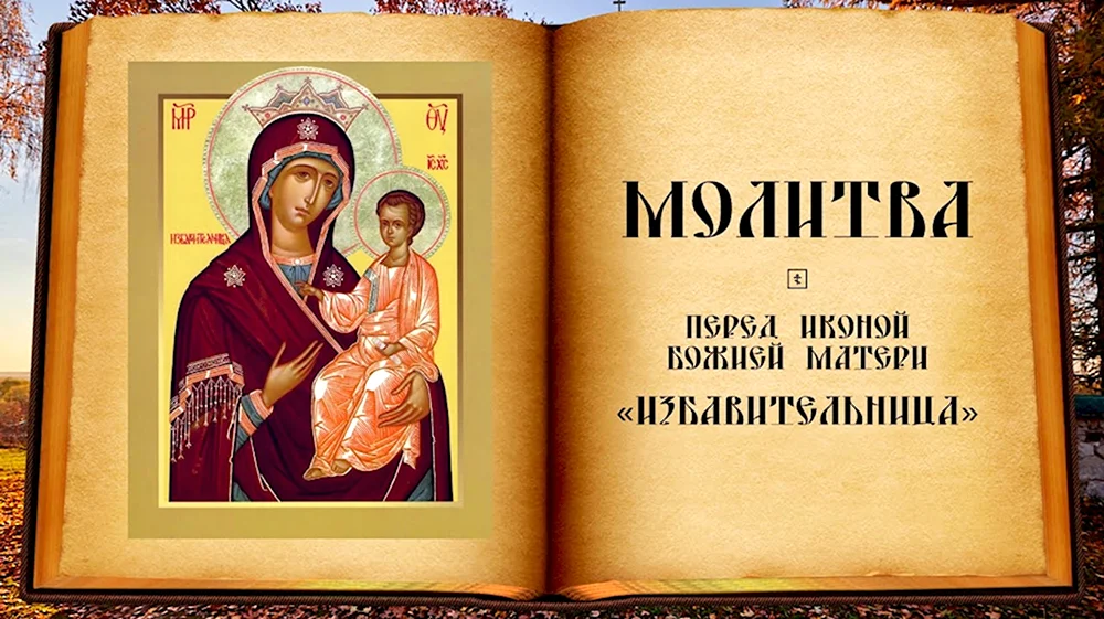 Икона БМ Избавительница