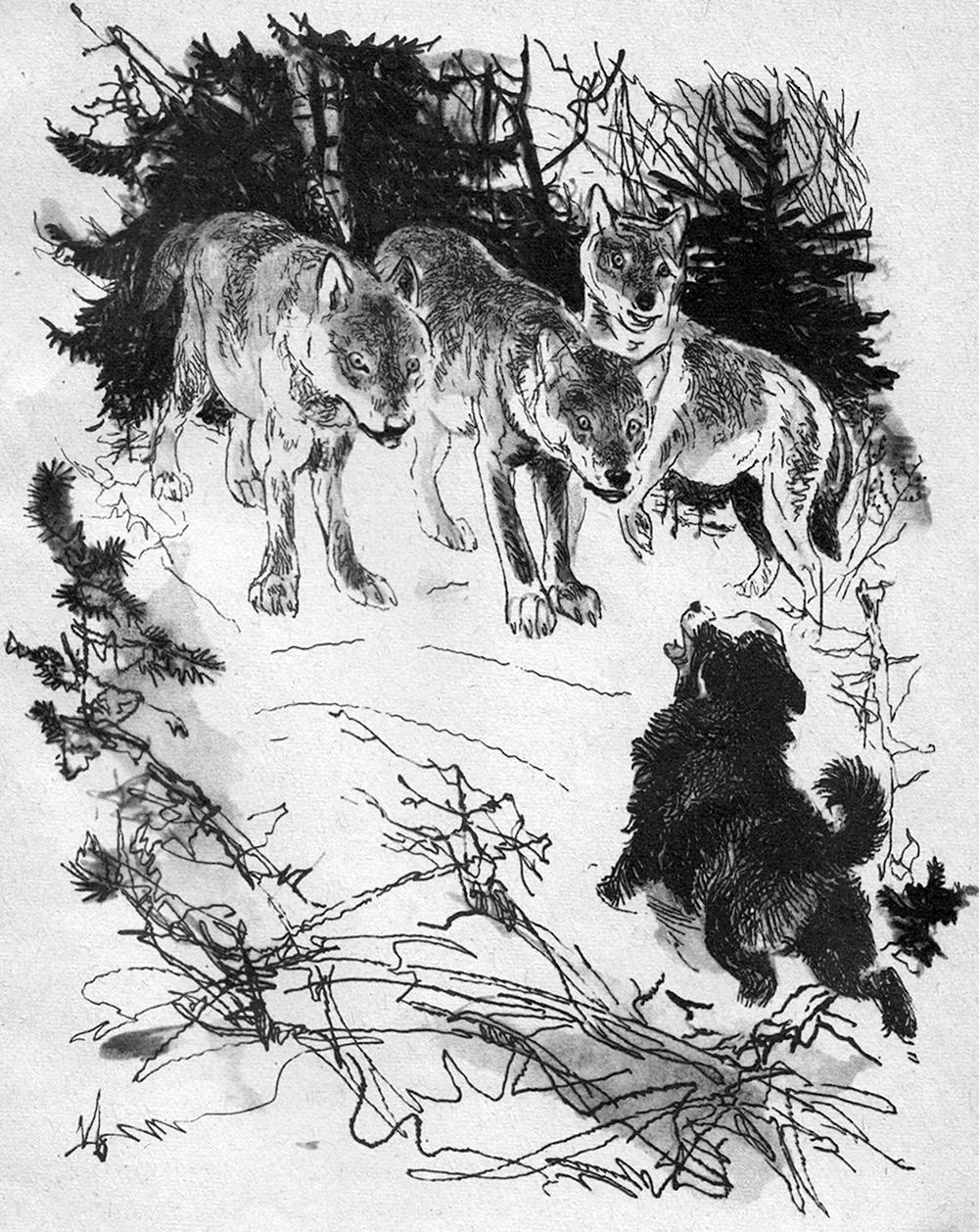 Иллюстрация белолобый Чехова