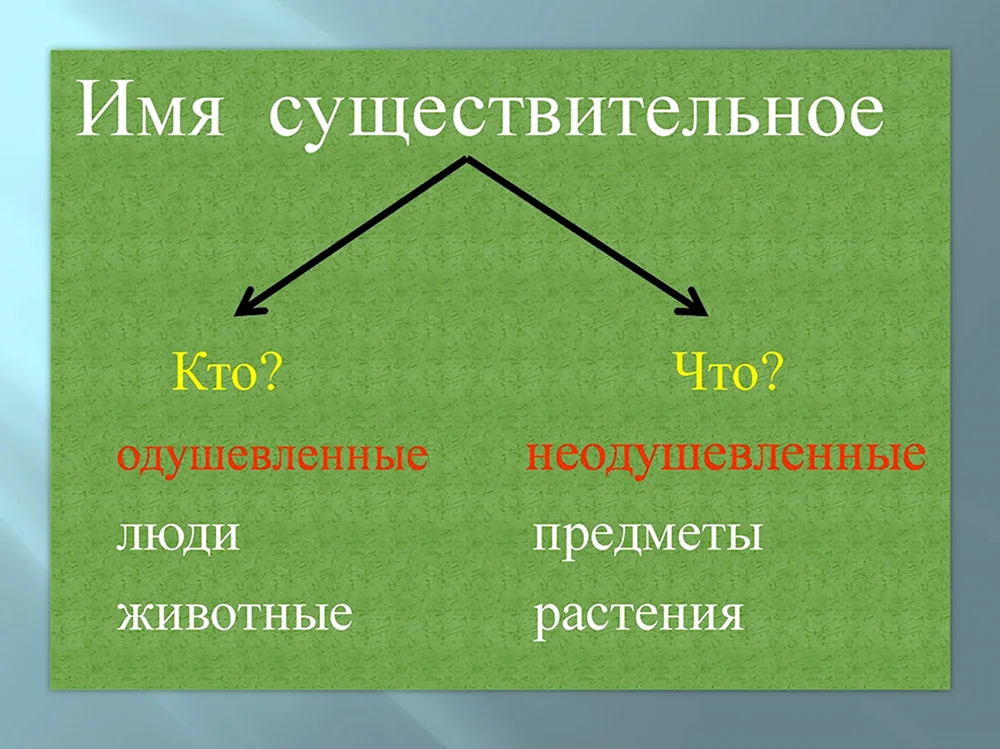 Существительное в русском языке 2 класс. Имя существительное. Имя существительное 3 класс. Имя сущ. Что такое существительное?.