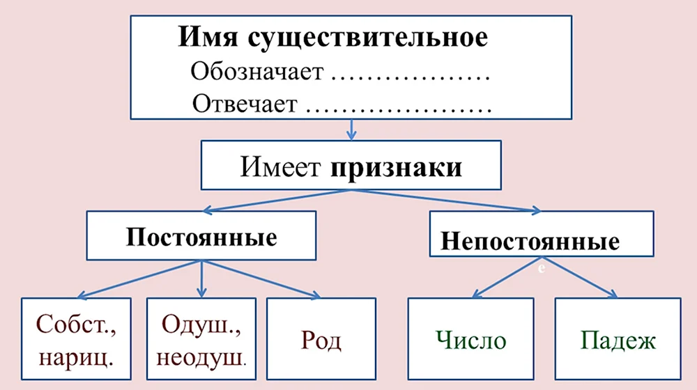 Имя существительное