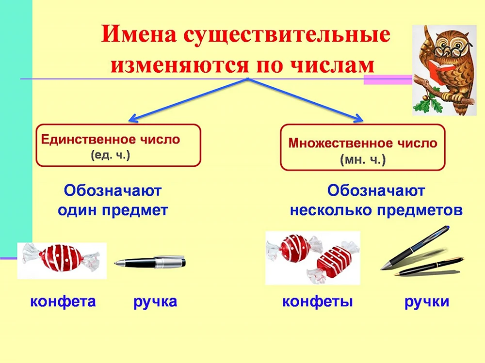 Имя существительное единственное и множественное число 2 класс