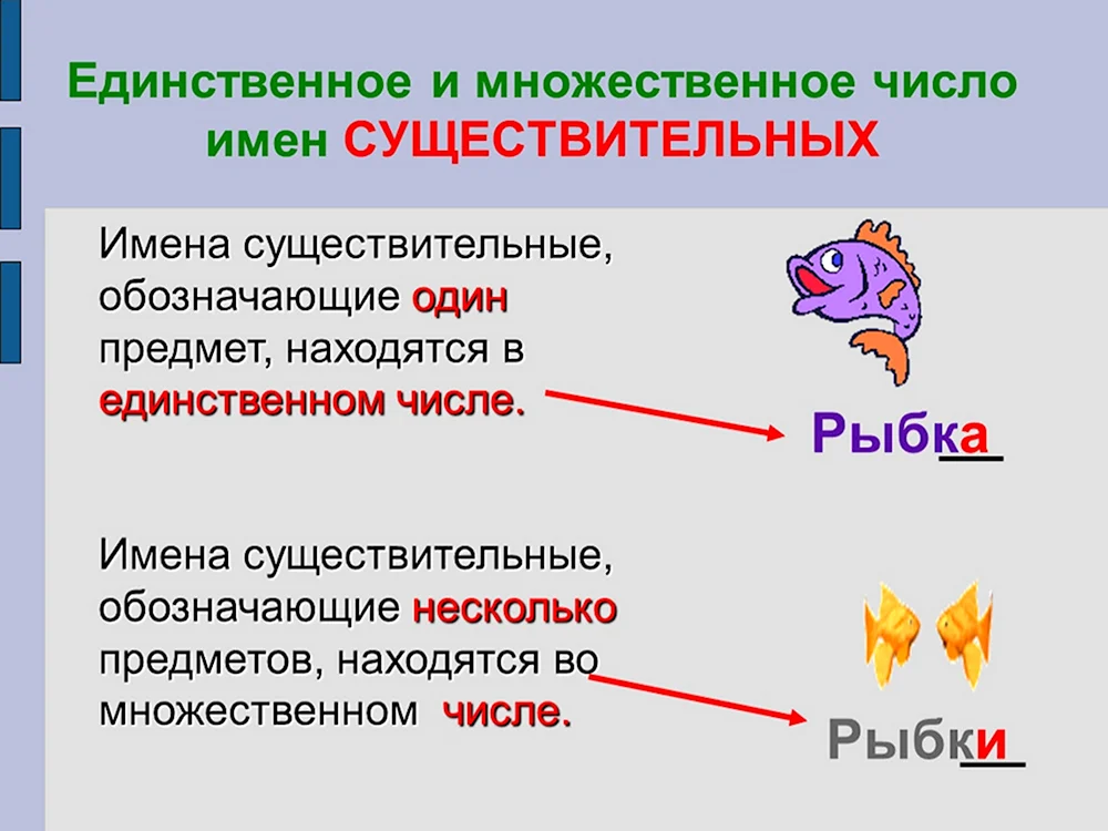 Имя существительное единственное и множественное число 3 класс