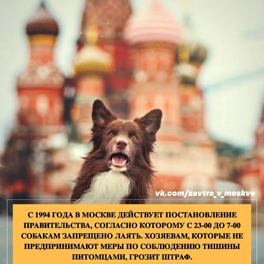 Интересные факты о Москве