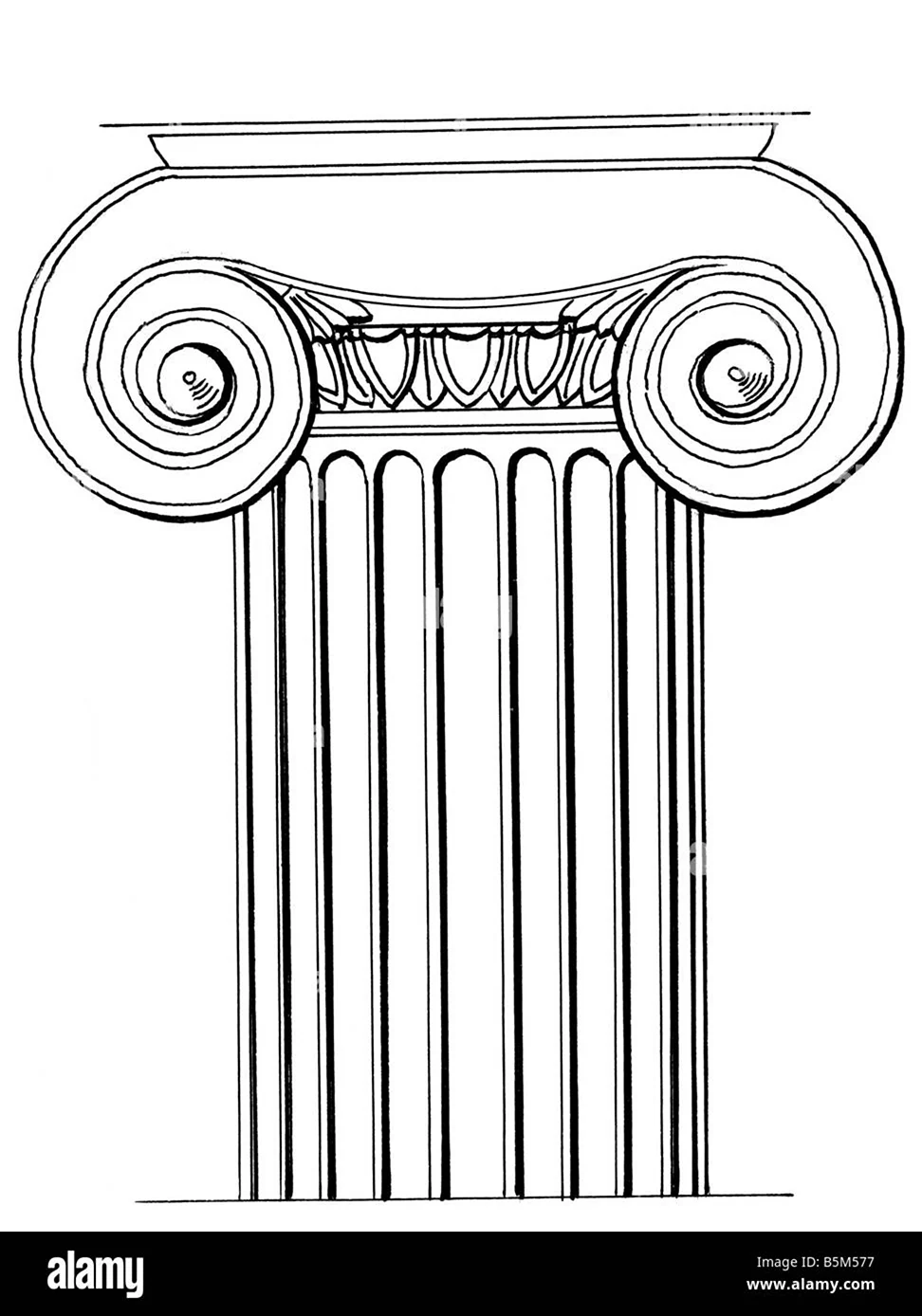 Ионическая Капитель набросок