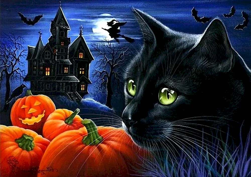 Ирина Гармашова кот и Хэллоуин