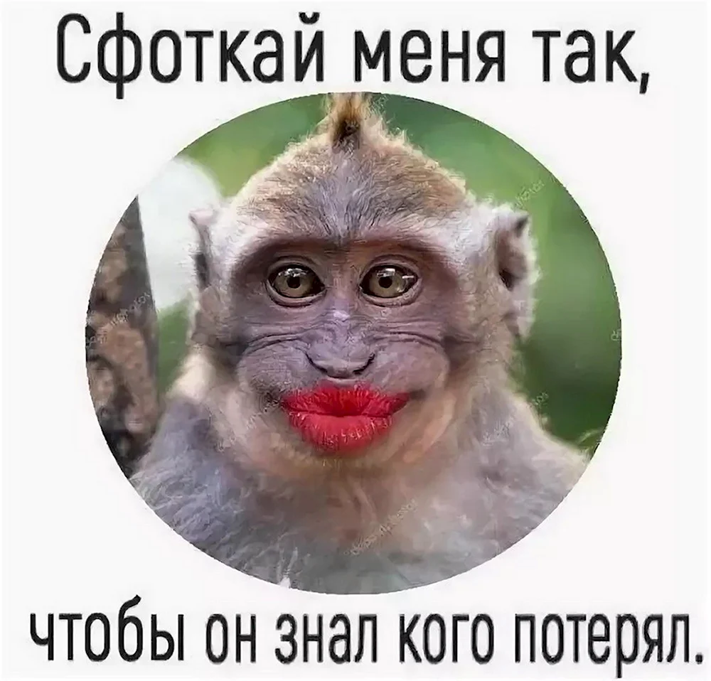 Ирка обезьяна