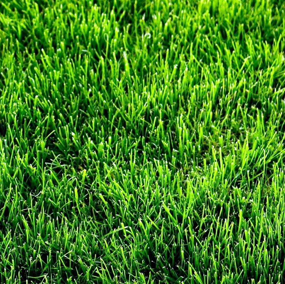 Искусственная трава ширина 1м