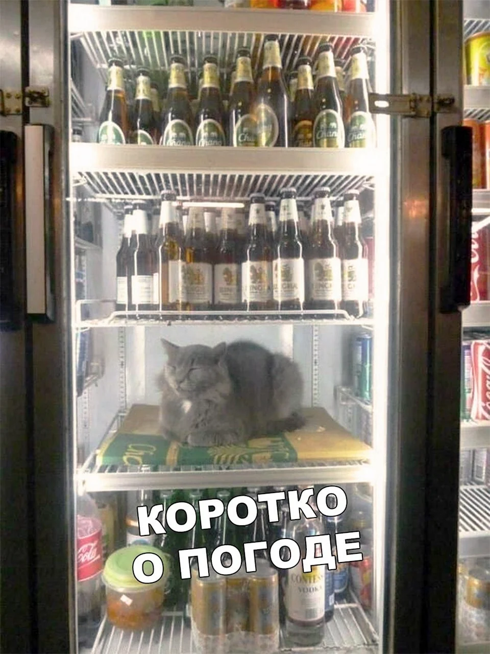 Юмор про жару