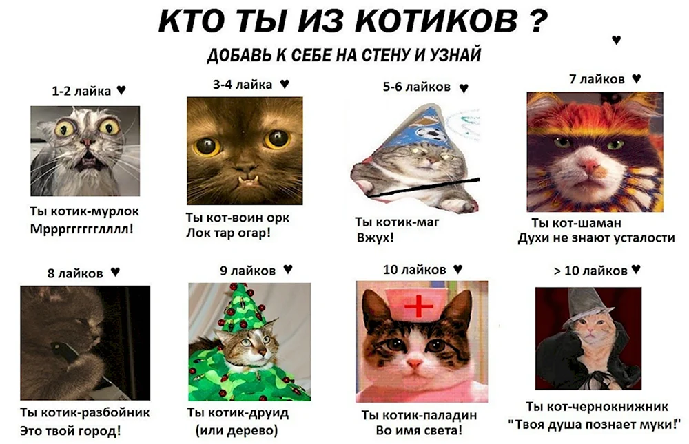 Какой ты кот