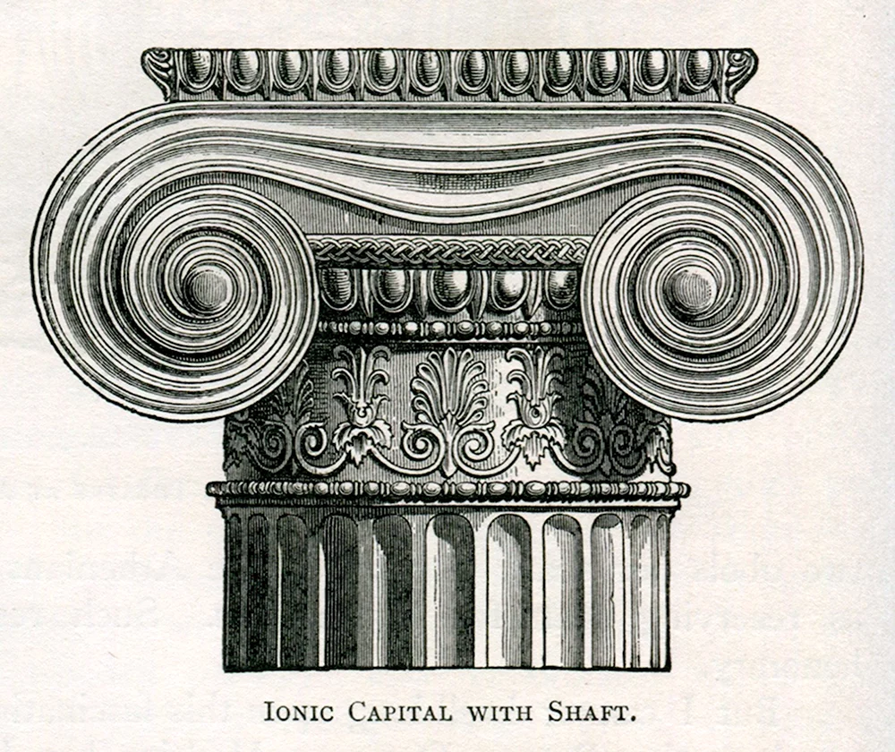 Капитель Ионического ордера