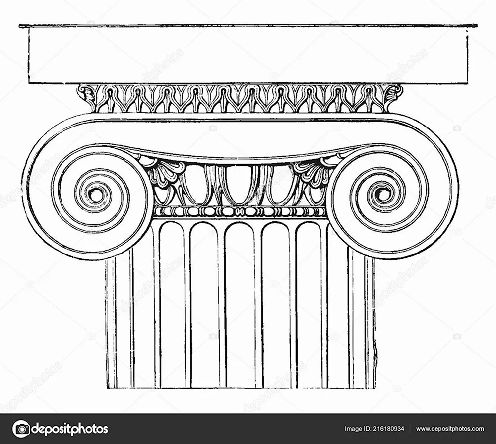 Капитель Ионического ордера
