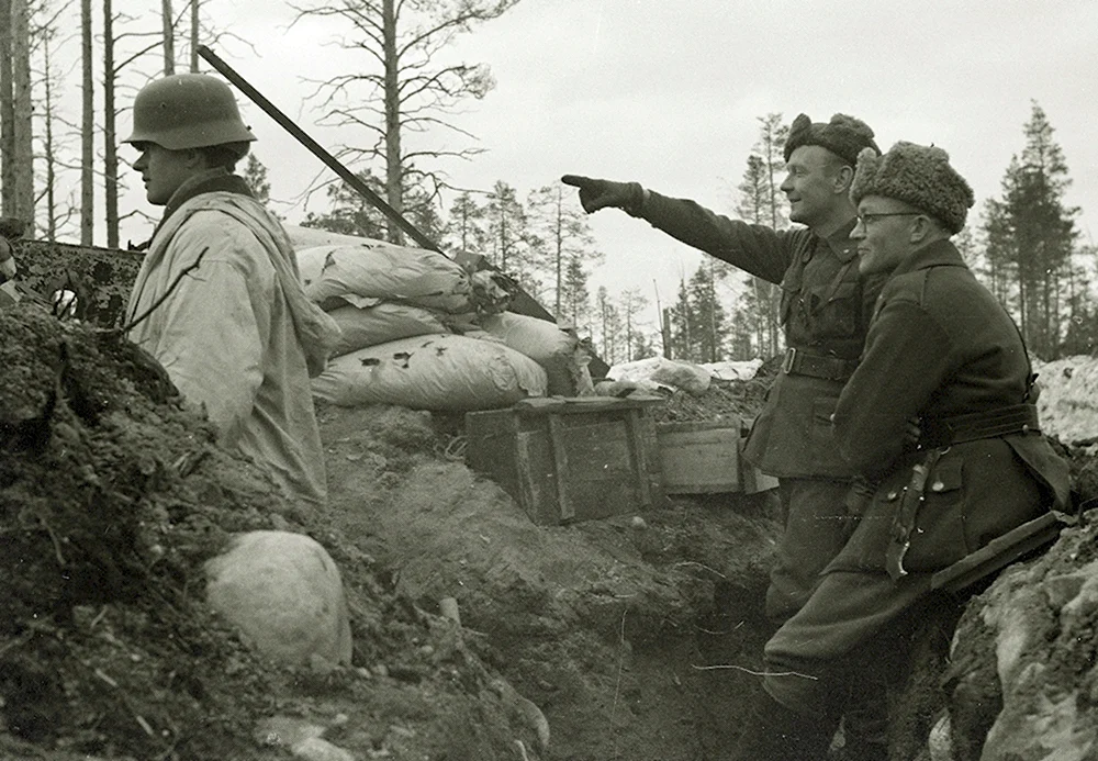 Карельский фронт 1943