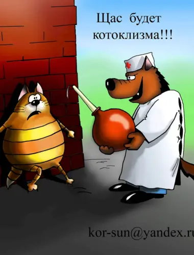 Карикатуры про котов