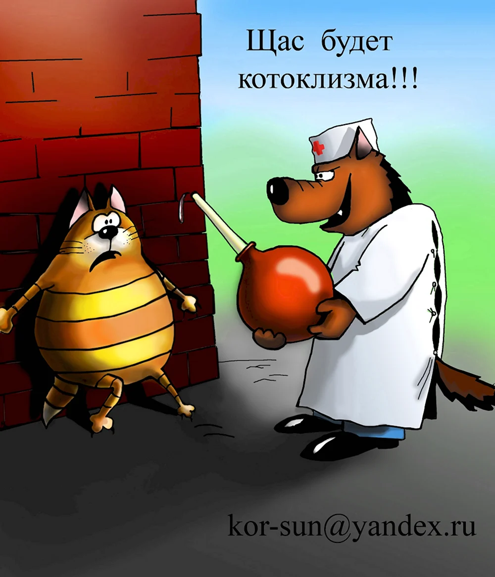 Карикатуры про котов