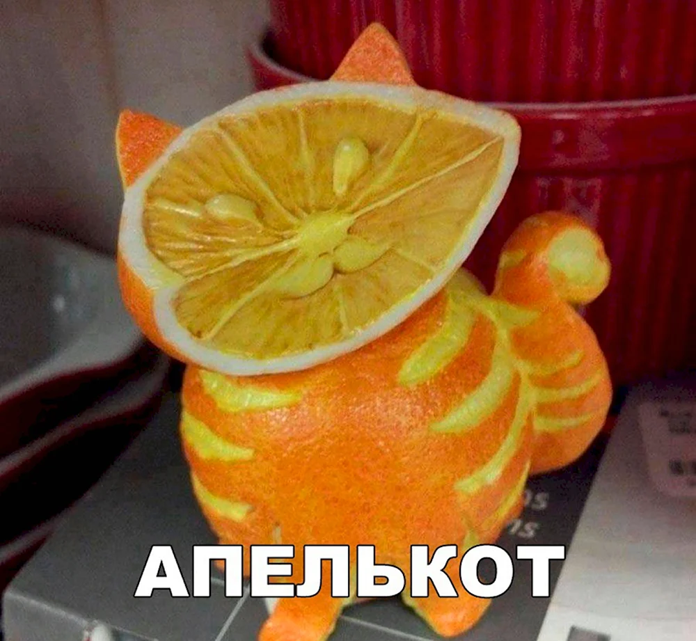 Карвинг кот из апельсина