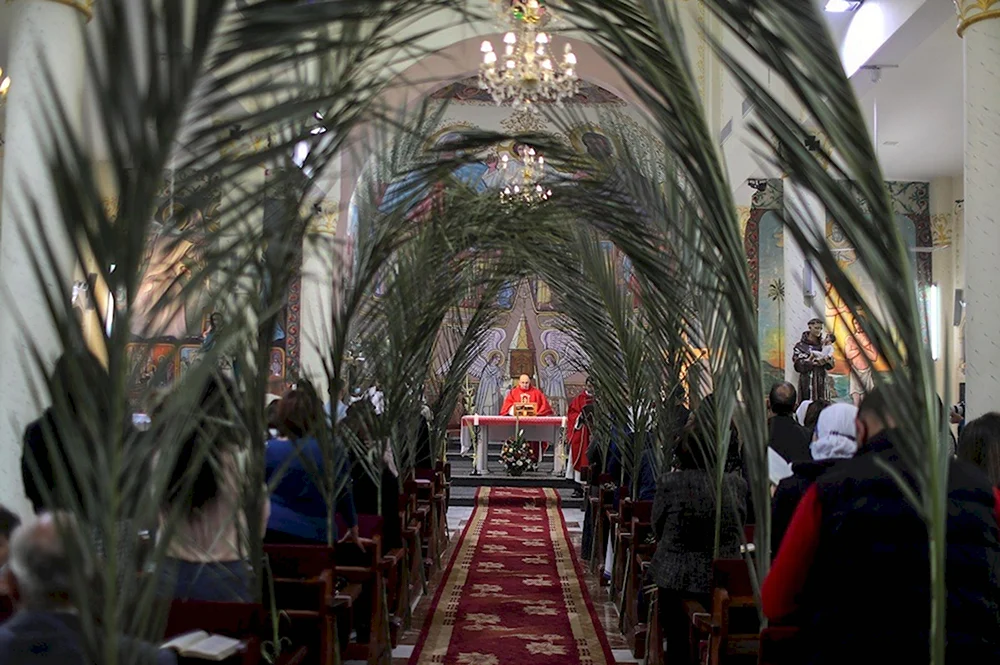 Католическое «пальмовое» воскресенье Palm Sunday