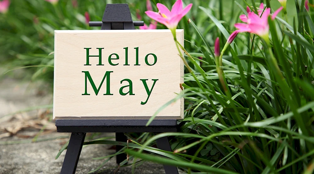 Март май на английском. Hello May. Привет май на английском. May картинки. Hello May обои на рабочий стол.