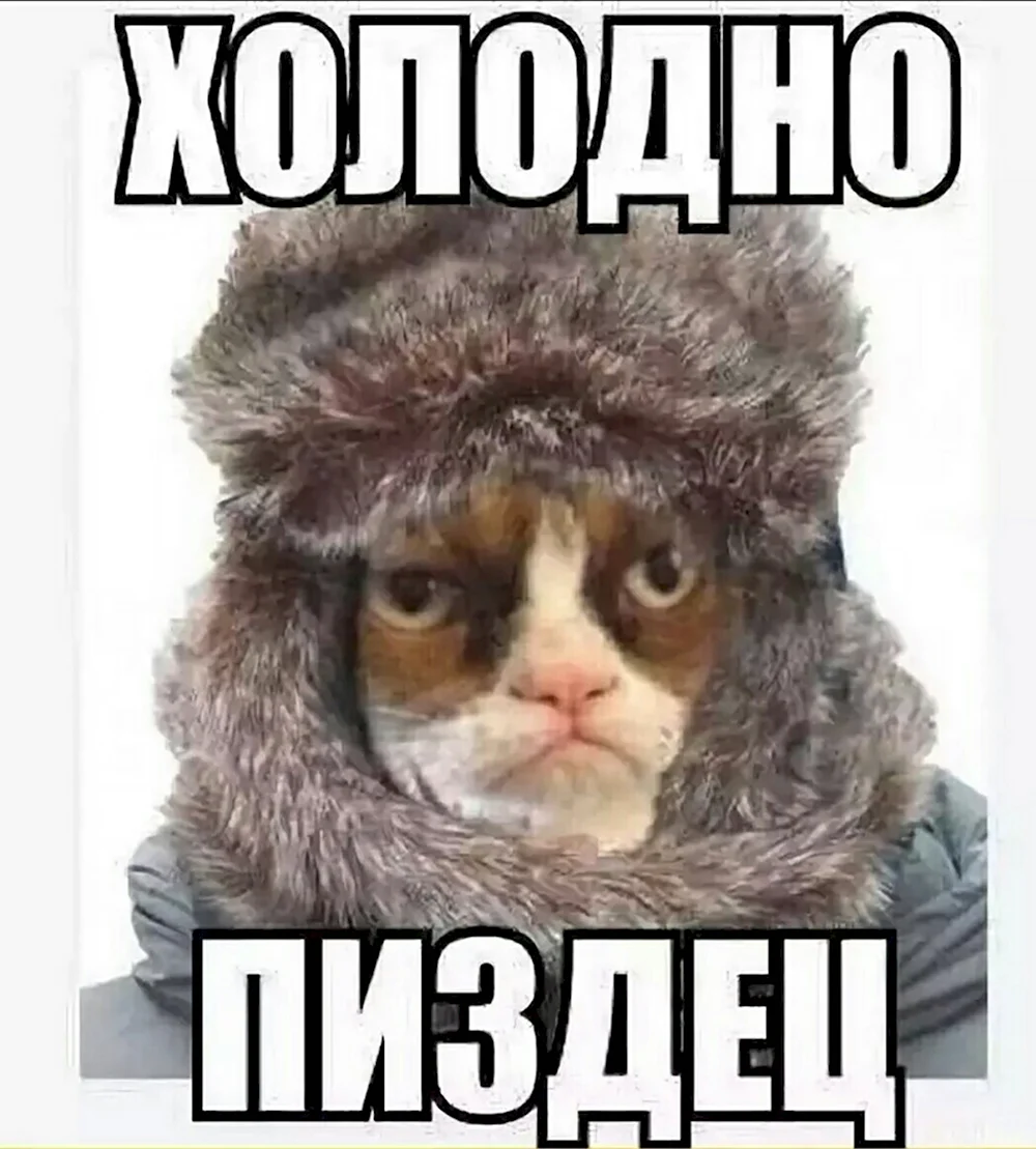 Холодно