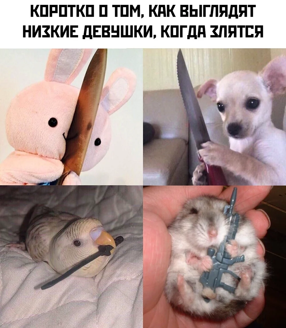 Хомяк с ножиком