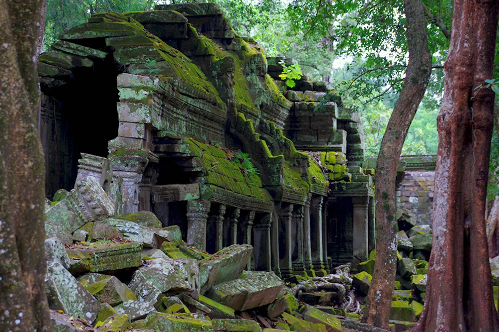 Храм в джунглях допотопные