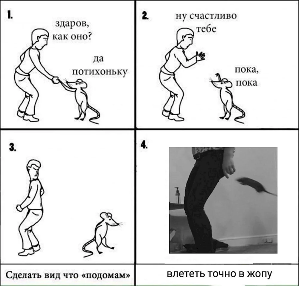 Хребтина это смешные картинки