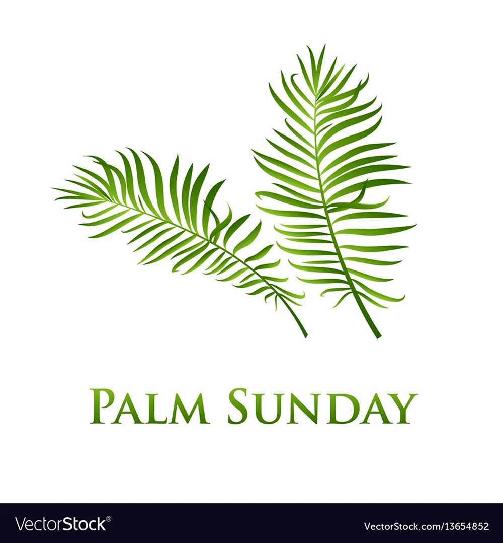 Христианская пальмовая ветвь