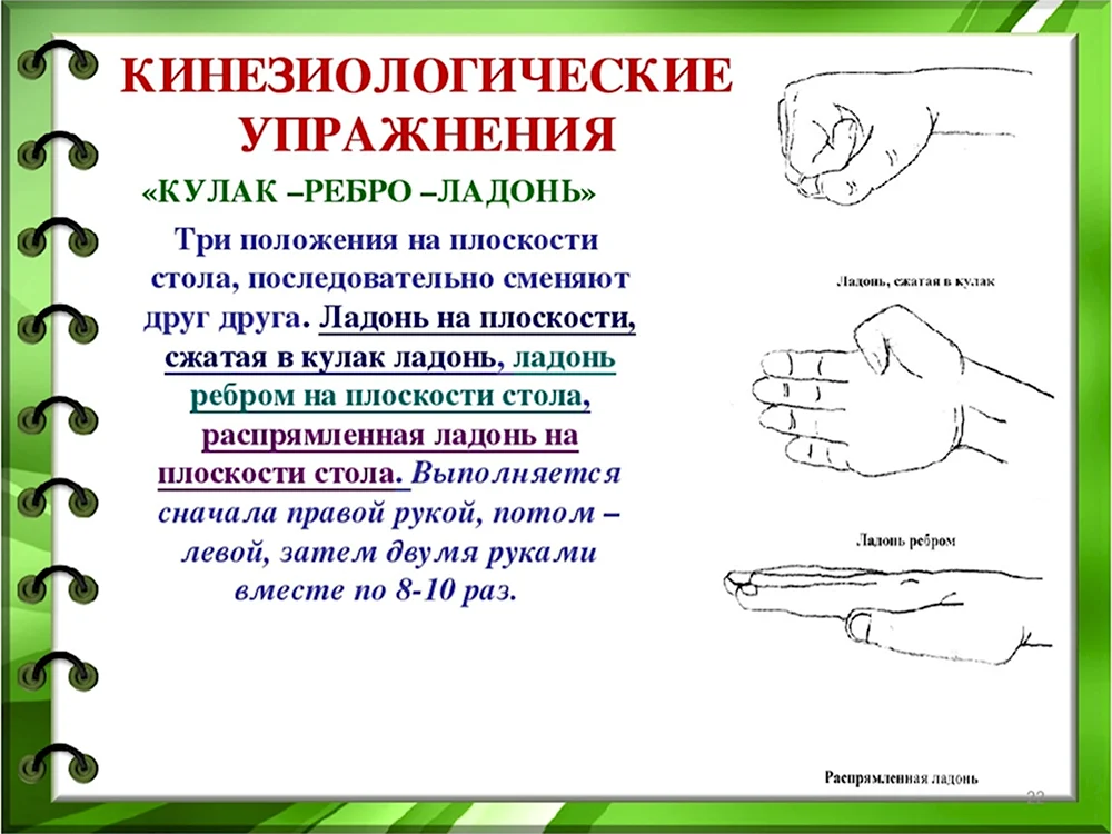 Кинезиологические упражнения для дошкольников картотека