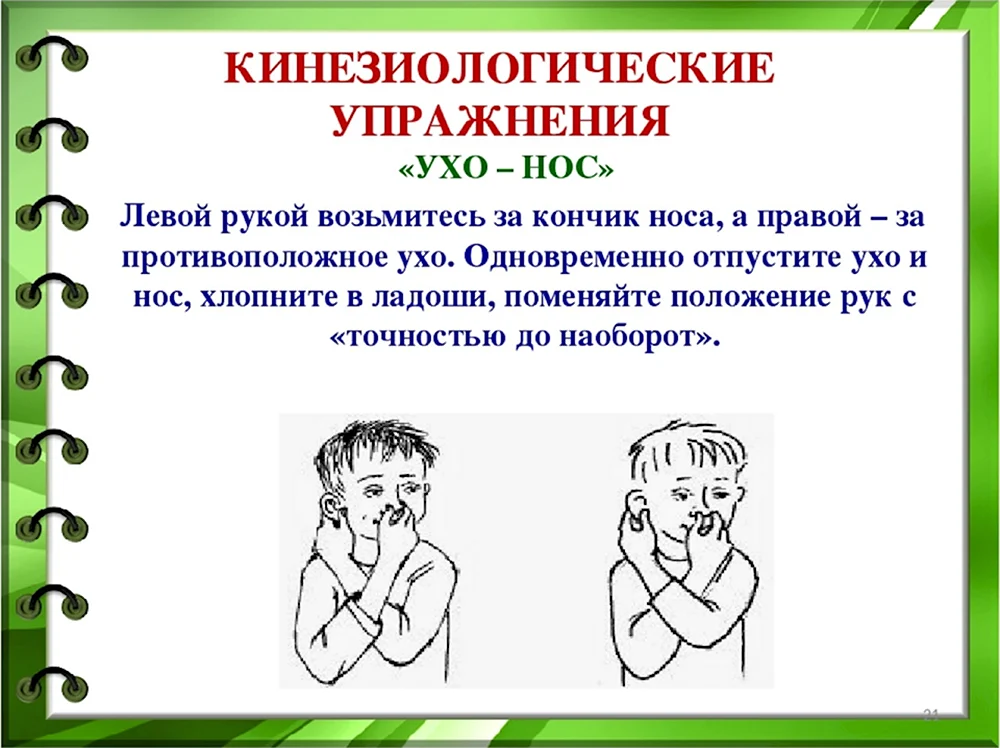 Кинезиологические упражнения ухо нос