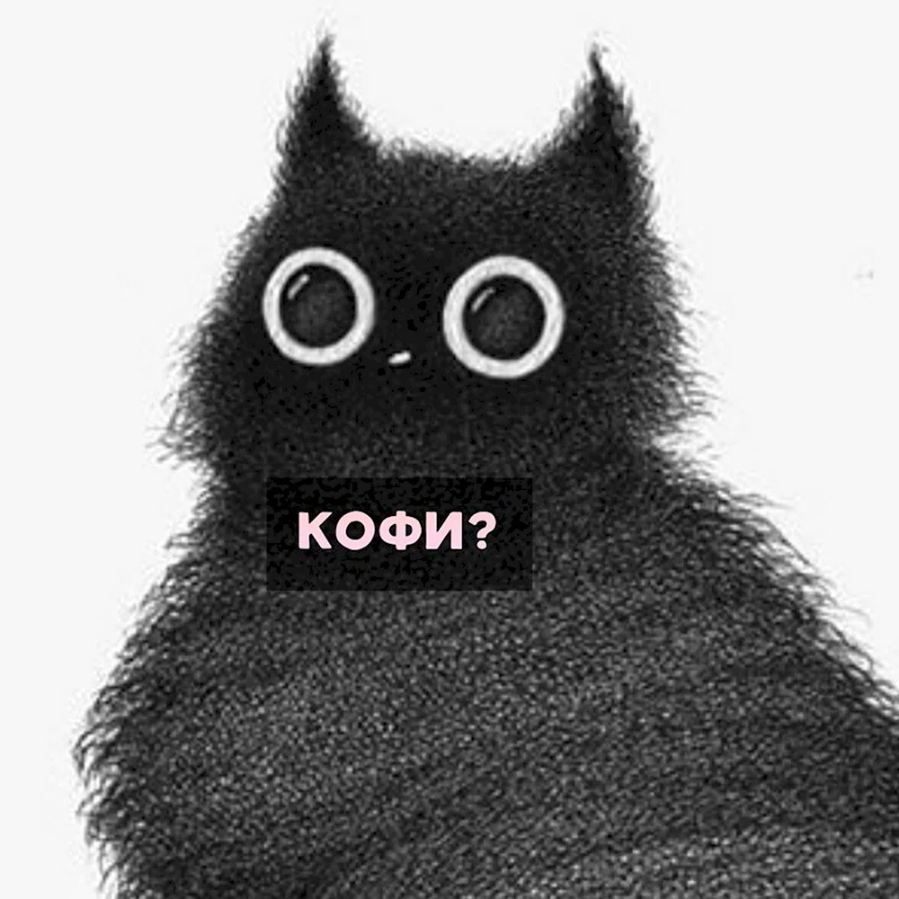 Кофи кот