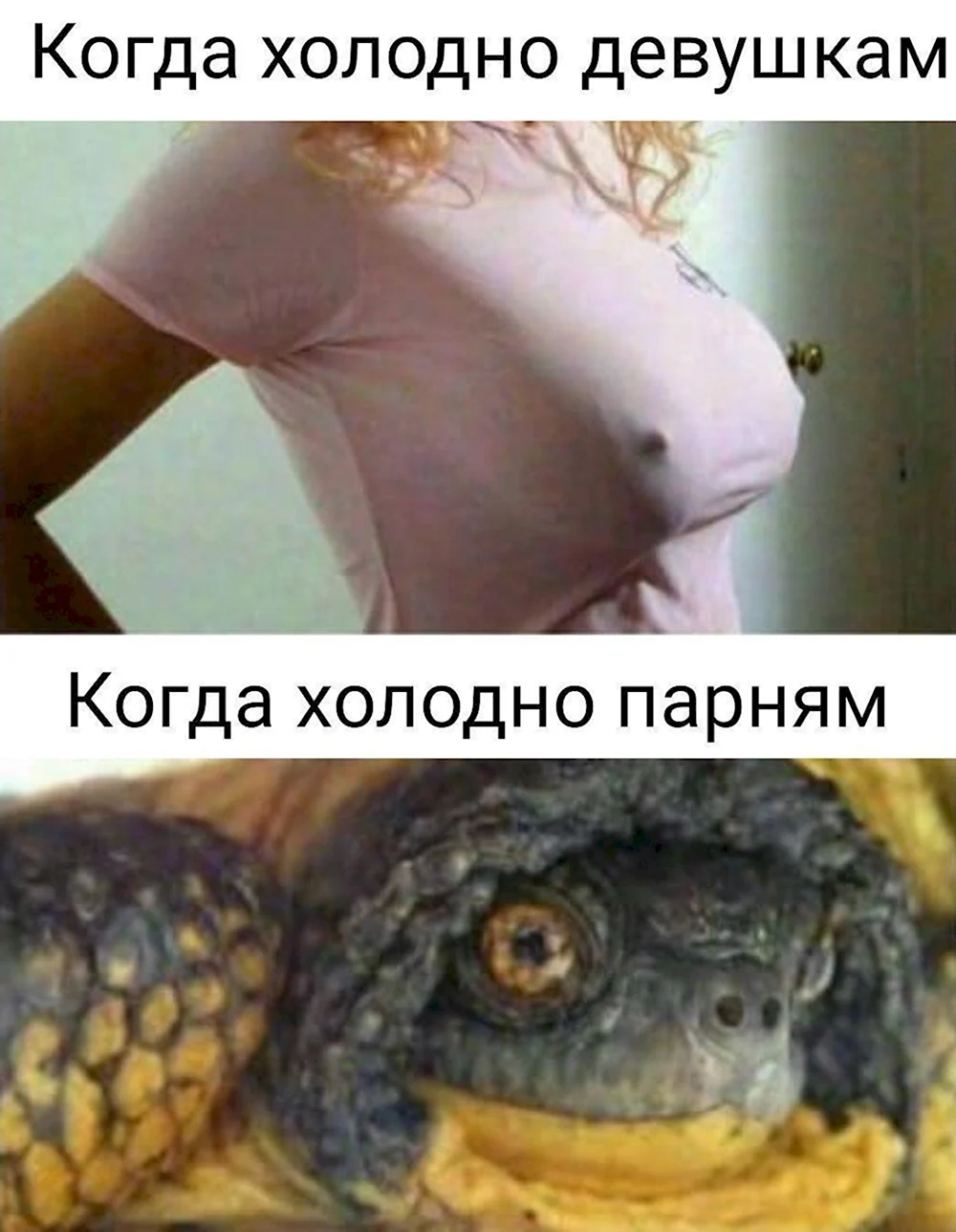 Когда холодно