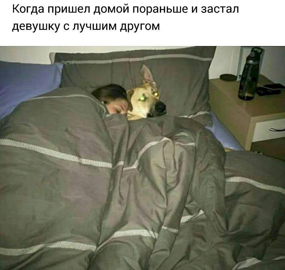 Когда придешь домой