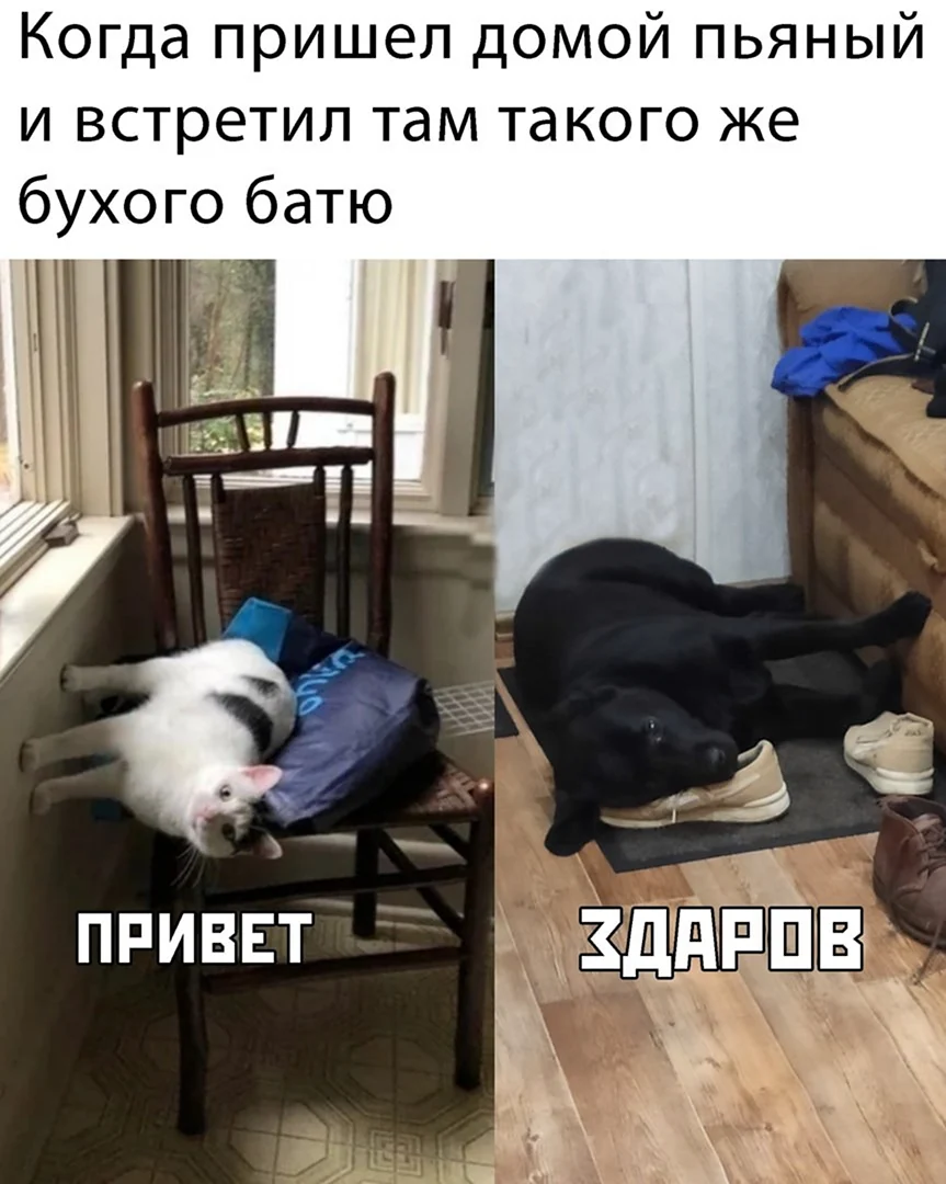 Когда пришел пьяный домой