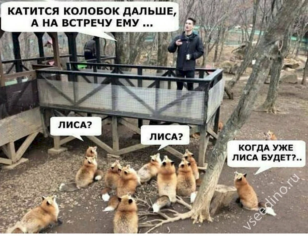 Когда уже лиса будет