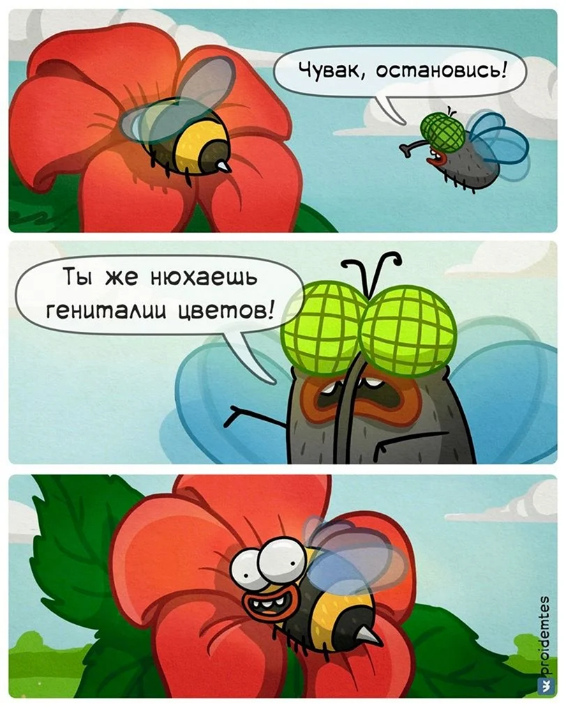 Комиксы про насекомых
