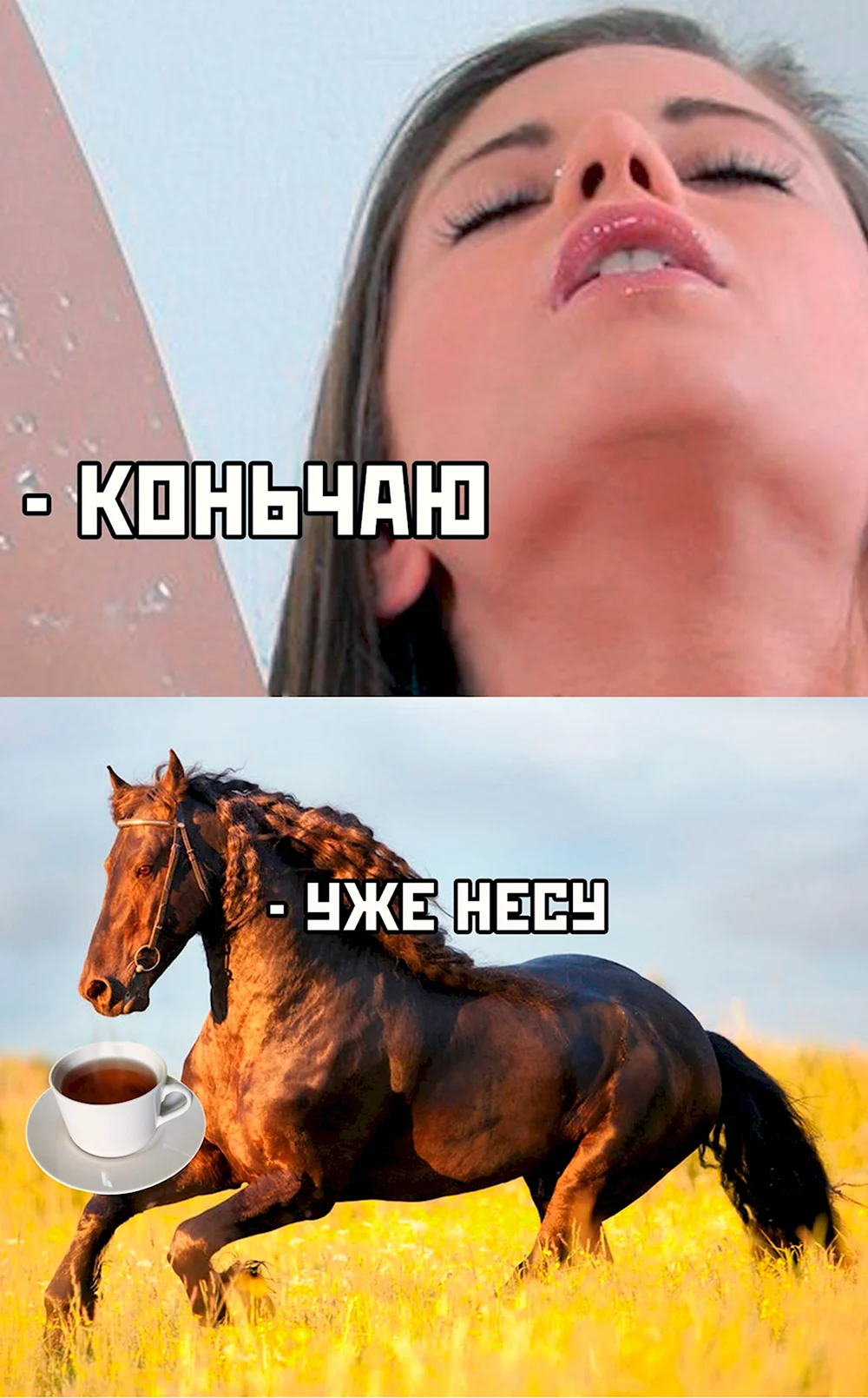 Конь чаю Мем
