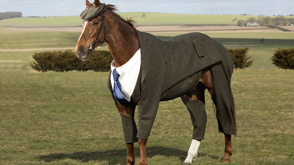 Конь в пальто