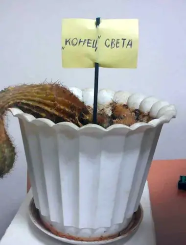 Конец прикола