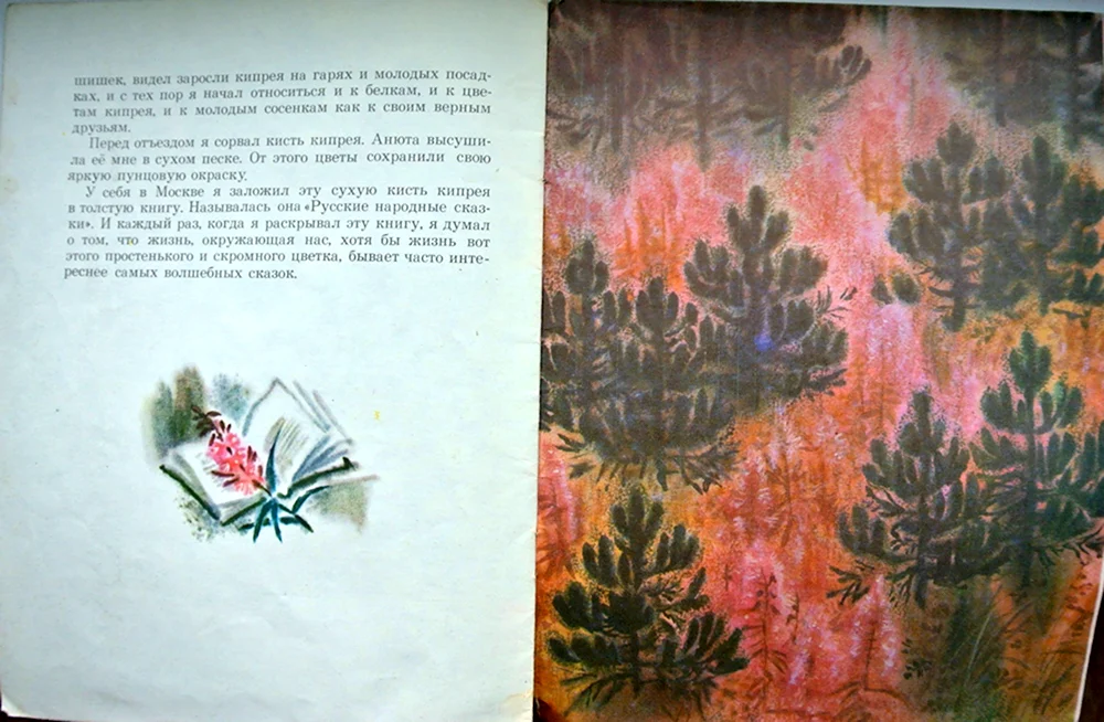 Константин Паустовский заботливый цветок