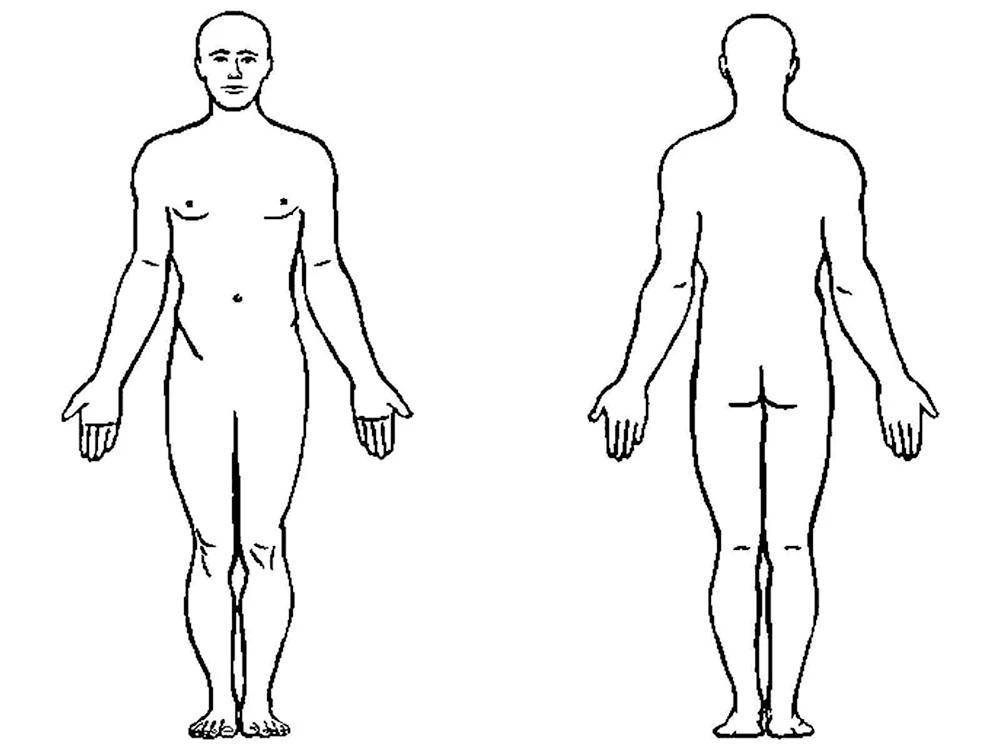 Контур тела человека спереди