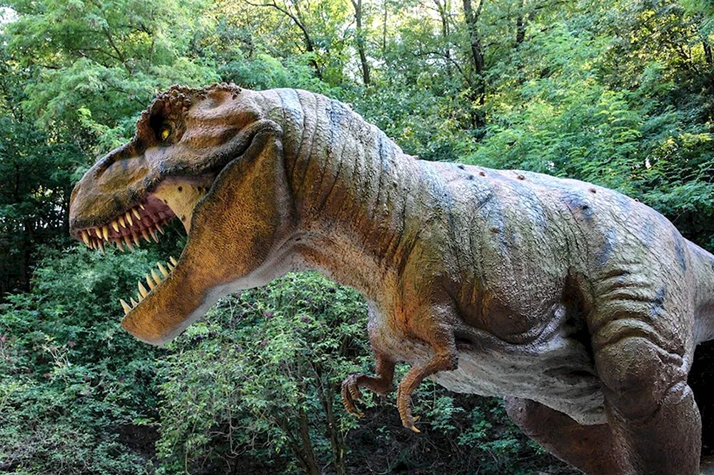 Королевский Тираннозавр