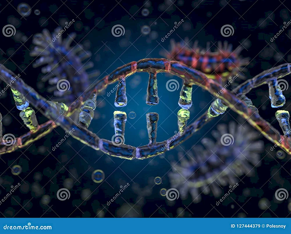 Коронавирус ДНК