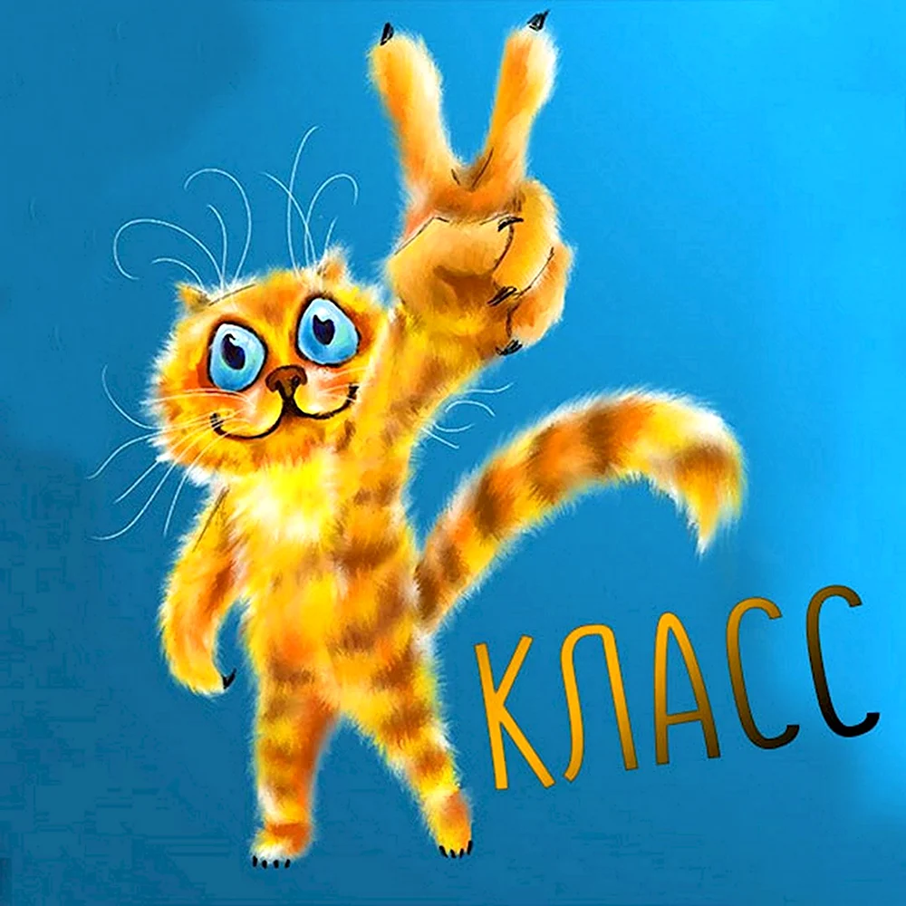 Кот радость