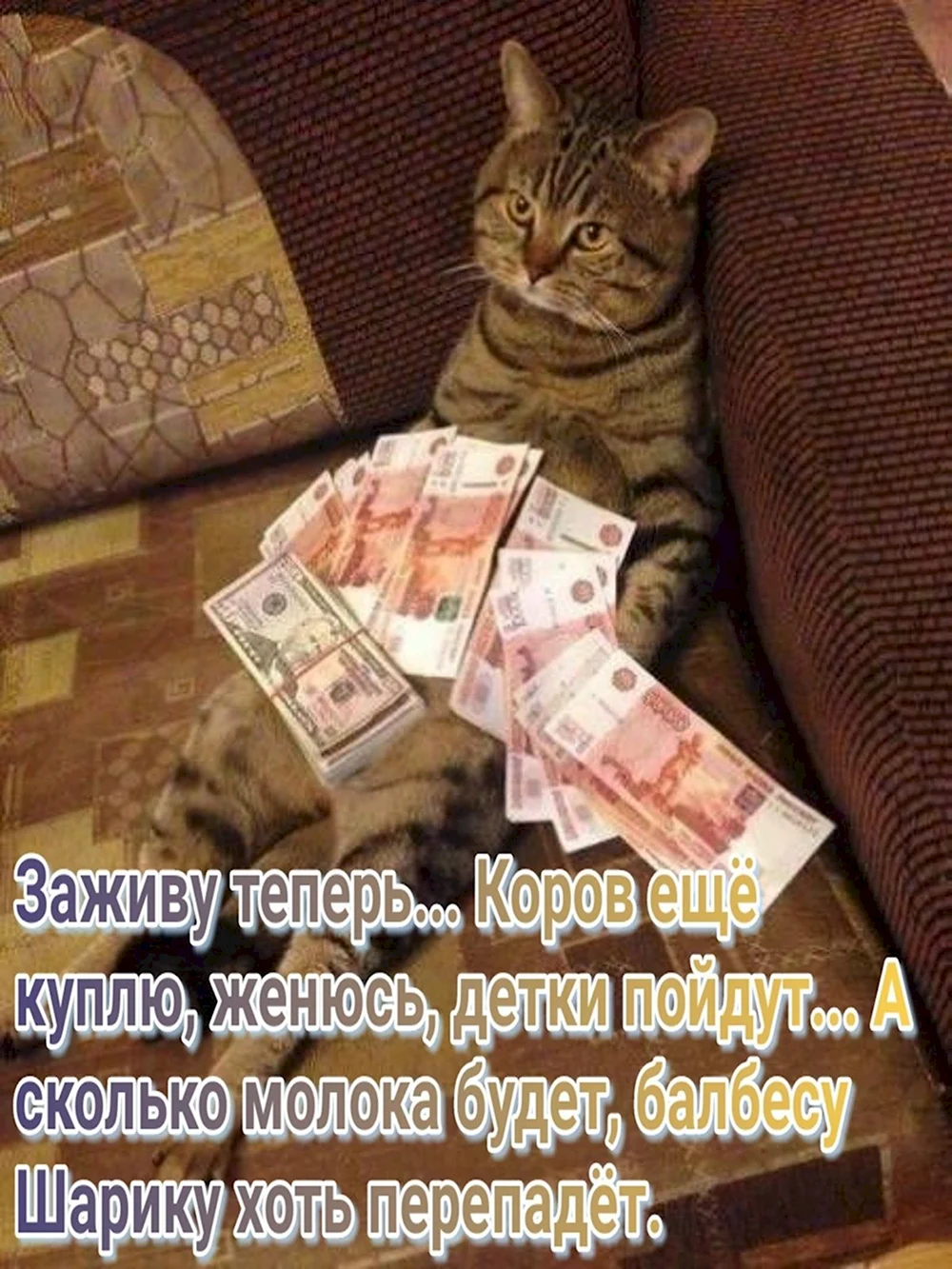 Кот с деньгами